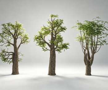 Modern Tree-ID:735414037