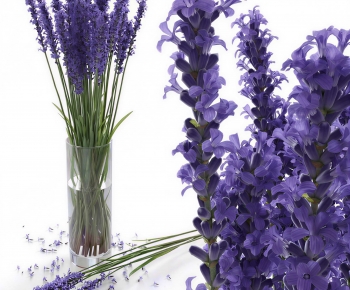 Modern Flower Arrangement-ID:828913934