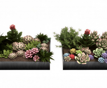 Modern Desktop Plant-ID:992640975
