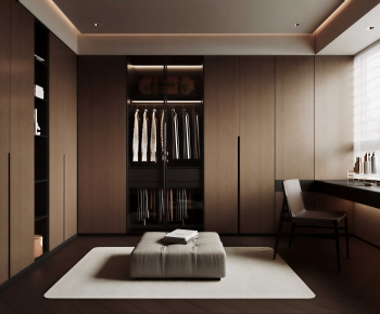 Modern Clothes Storage Area-ID:217518097