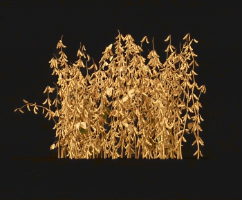 Modern Crop-ID:415358072