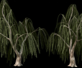 Modern Tree-ID:479856971