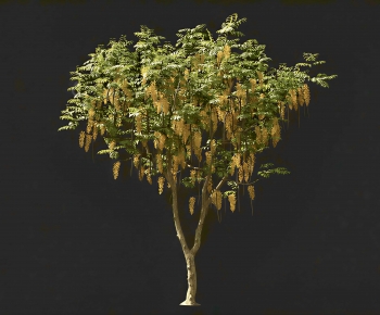 Modern Tree-ID:715904007