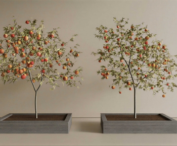 Modern Tree-ID:468576912