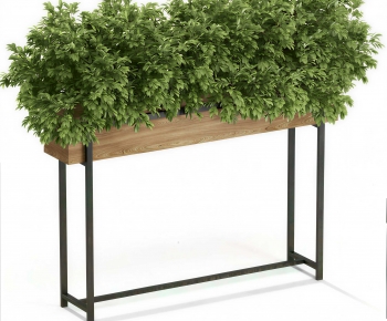 Modern Flower Bed, Flower Bowl, Flower Box-ID:814862978