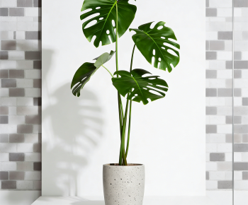 Modern Ground Green Plant Potted Plants-ID:813836105