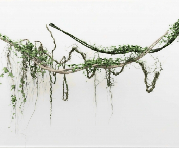 Modern Vine-ID:465348969