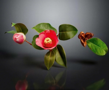 Modern Flowers And Grass-ID:633642917