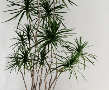 Modern Ground Green Plant Potted Plants-ID:378125915