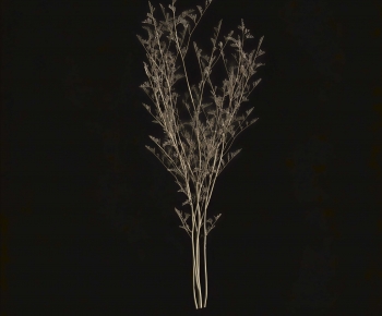 Modern Plant-ID:359509947