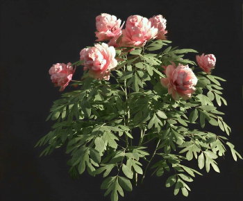 Modern Flowers And Grass-ID:455811981