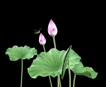 Modern Flowers And Grass-ID:737314947