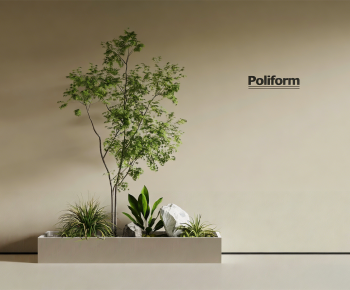 Modern Plant Landscaping-ID:917449002