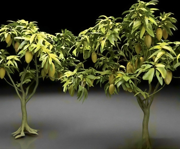 Modern Tree-ID:433043004