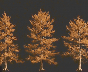 Modern Tree-ID:221788886