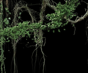 Modern Vine-ID:414617062