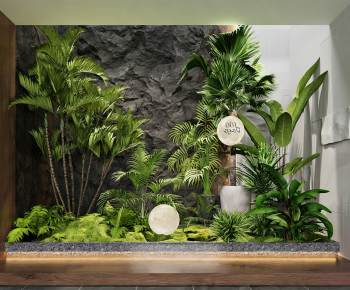 Modern Plant Landscaping-ID:227391008