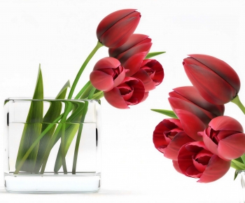 Modern Flower Arrangement-ID:402550762