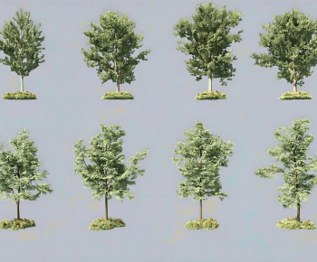 Modern Tree-ID:948939092