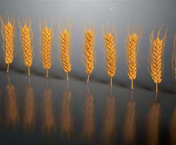 Modern Crop-ID:963727952