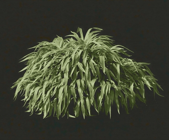 Modern The Grass-ID:651675944