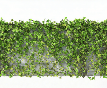 Modern Vine-ID:871603972