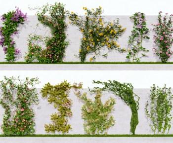 Modern Vine-ID:613049034