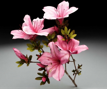 Modern Flowers And Grass-ID:981138946