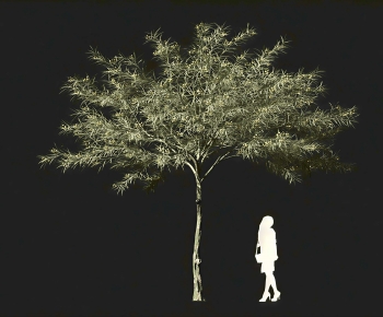 Modern Tree-ID:698669065