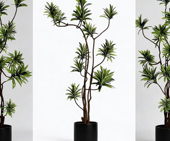 Modern Potted Green Plant-ID:190588007