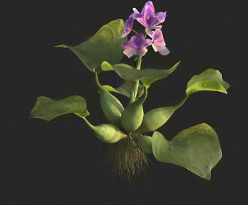 Modern Flowers And Grass-ID:222254991