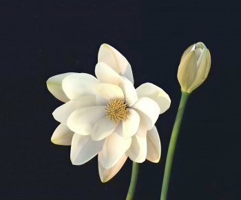 Modern Flowers And Grass-ID:105917938