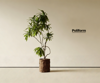 Modern Ground Green Plant Potted Plants-ID:974500241