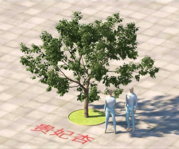 Modern Tree-ID:526919474