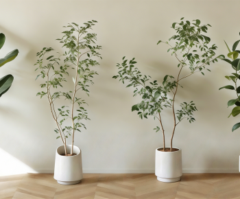 Modern Ground Green Plant Potted Plants-ID:395940072