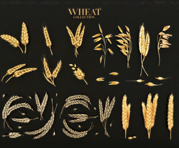 Modern Crop-ID:614228966