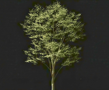 Modern Tree-ID:757142077