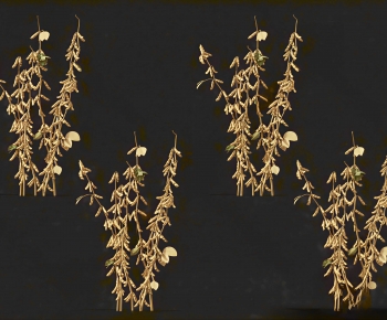 Modern Crop-ID:322290908