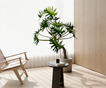 Modern Ground Green Plant Potted Plants-ID:172864913
