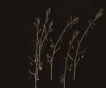 Modern Plant-ID:674648054