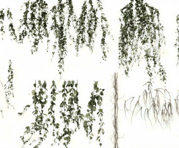 Modern Vine-ID:207844027