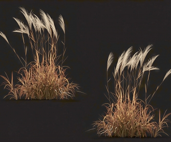 Modern The Grass-ID:216495043