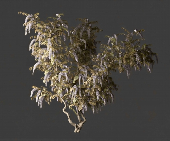 Modern Vine-ID:826560974