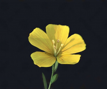 Modern Flowers And Grass-ID:159945962