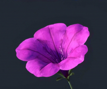 Modern Flowers And Grass-ID:241756921