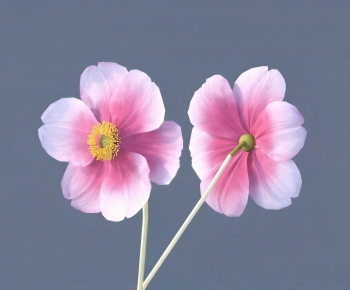 Modern Flowers And Grass-ID:401324991