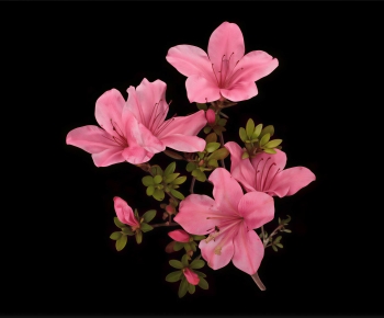 Modern Flowers And Grass-ID:211206913