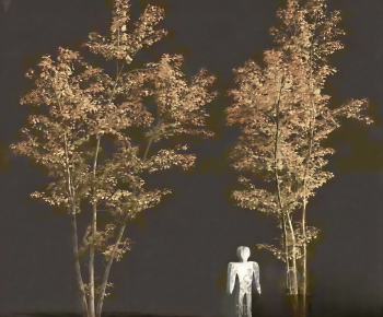 Modern Tree-ID:535840033