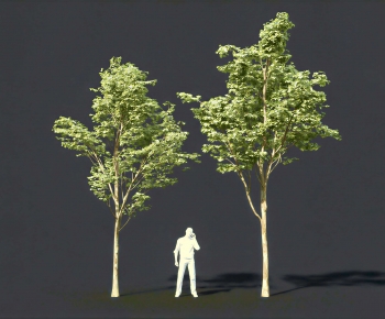 Modern Tree-ID:666062125