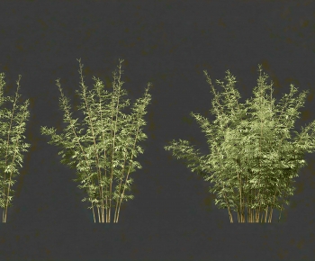 Modern Bamboo-ID:201471097